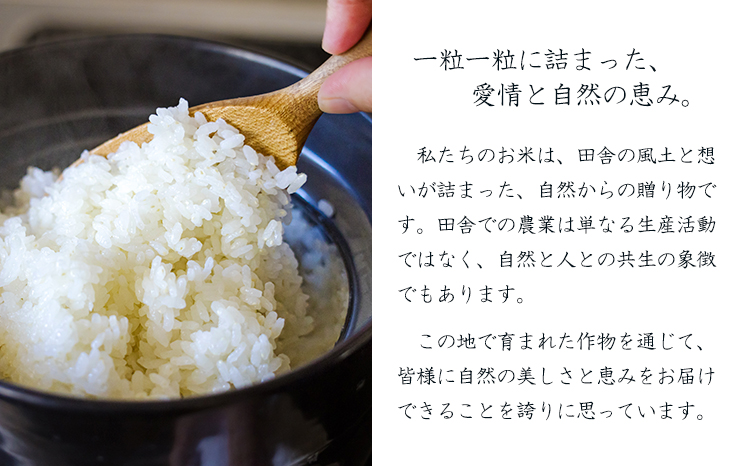 【数量限定】新米 令和７年産 農薬・化学肥料不使用 「陽の光穂（ひのひかり）」3kg(1kg×3p) 白米 国産 宮崎県産 高原町産 真空袋 使い切りごはん ご飯 産地直送 無農薬 湧水 手作業 少量生産 安全 安心 自然 天然　 TF0803-P00075