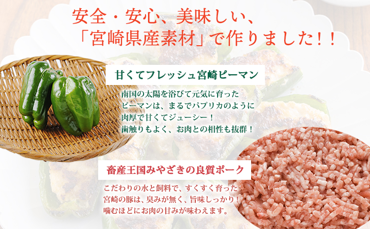 安全・安心 宮崎県産豚肉とピーマンで作った 「ピーマンの肉詰め」1kg(500g×２p) [冷凍食品 『返礼品特集20000円以下』-宮崎県高原町] TF0823-P00064