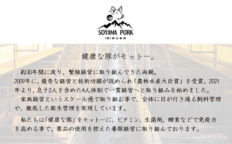 ソヤマポーク味わい堪能3種セット[生ハム 焼肉 炒め物 しゃぶしゃぶ バラ ロース モモ 肩ロース 小分け 大容量 宮崎県産 豚肉]TF0830-P00078