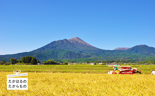 【※返礼品なし】高原町への応援寄附金(3,000円分)　宮崎県 高原町　たかはる　霧島　高千穂峰 故郷納税 3000円 三千円 オンラインワンストップ対応TF1003-P00049