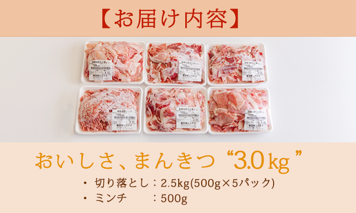 高原育ちの宮崎県産豚肉切り落とし＆ミンチ３㎏ おいしさお試しアレンジ色々 [夕食 お弁当 一人暮らし 万能食材 生姜焼き しゃぶしゃぶ ハンバーグ 餃子 肉巻き ミートソース 麻婆豆腐] TF0766‐P00070