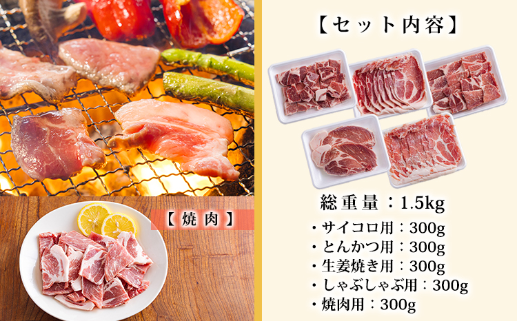 高原育ちの宮崎県産豚肉5種バラエティーセット1.5kg おいしさ満喫 [ロース 肩ロース 夕食 お弁当 一人暮らし 万能食材 ステーキ とんかつ ポークソテー 生姜焼き しゃぶしゃぶ  焼肉 肉巻き 300g 小分け 使い切り]TF0779-P00070