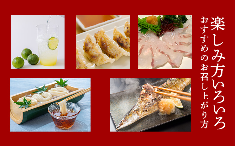 《必須アミノ酸が豊富!》へべすの生搾り果汁 大容量・業務用1L カボス・スダチ・ライム・柚子と同じ 香酸柑橘の平兵衛酢 TF0789-P00074