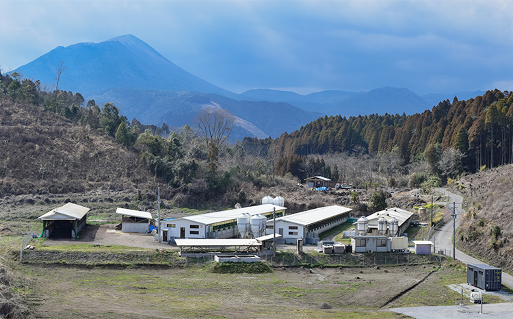 ソヤマポークのこだわり生ハム3種セット[ロース バラ モモ パンチェッタ ベーコン おつまみ パーティー 宮崎県産 豚肉]TF0827-P00078