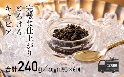 【定期便 6ヶ月】THE・CAVIAR(ザ・キャビア)40g《バエリ BAERII》  [高級 国産 日本産 ギフト 贈答 贈り物 プレゼント お中元 化粧箱入り] TF0493-P00066