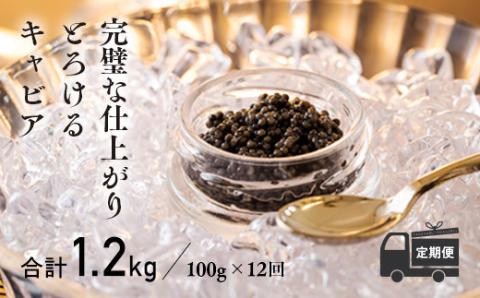 【定期便 12ヶ月】THE・CAVIAR(ザ・キャビア)100g [高級 国産 日本産 ギフト 贈答 贈り物 プレゼント お中元 化粧箱入り 1年間]  TF0498-P00066
