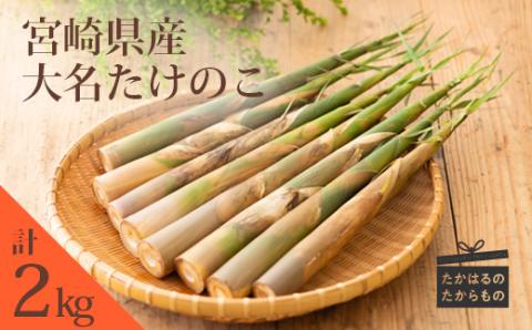 【期間限定・数量限定】《旬の味わい》宮崎県高原町産「大名たけのこ」約2kg 国産の筍をお届け! TF0409-P00036