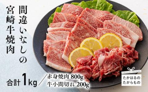宮崎牛赤身肉の焼肉(ウデまたはモモ)800g＆黒毛和牛小間切れ 200g TF0545-P00043