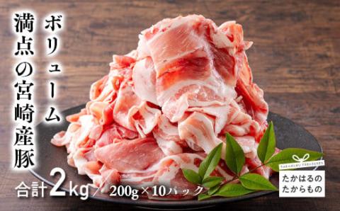 《小分け10パック》宮崎産豚肉の切り落とし(合計2kg) 加工後すぐに発送 [一人暮らし 豚肉 お肉 『返礼品特集20000円以下』-宮崎県高原町] TF0553-P00020