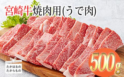 《A5・A4ランク》宮崎牛焼肉(うで肉) 約500g 内閣総理大臣賞受賞の黒毛和牛 [ブランド牛 牛肉] TF0568-P00012