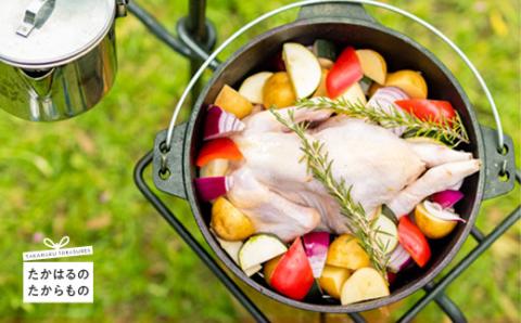 より鶏みどりBBQセット バーベキューにピッタリな味付きチキンの詰め合わせ [BBQ バーベキュー ホームパーティ イベント ソロキャンプ 小分け 時短調理 簡単調理 手羽先 鶏肉 若鶏のモモ肉 お肉 さつま地鶏屋]   TF0474-P00033