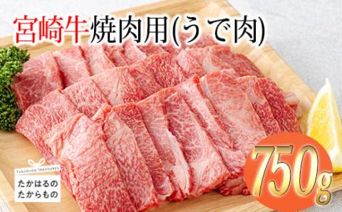 《A5・A4ランク》宮崎牛焼肉用(うで肉)約750g 内閣総理大臣賞受賞の黒毛和牛 [ブランド牛 牛肉] TF0569-P00012