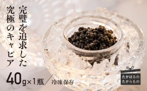 THE・CAVIAR(ザ・キャビア)40g《バエリ BAERII》  [高級 国産 日本産 ギフト 贈答 贈り物 プレゼント お中元 化粧箱入り] TF0488-P00066