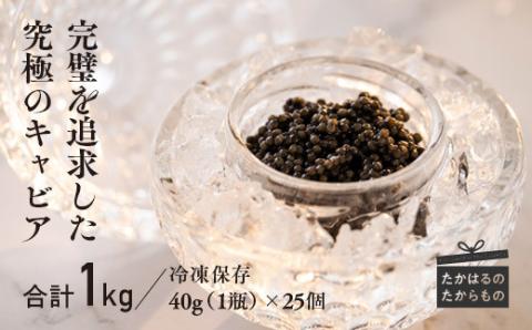 THE・CAVIAR(ザ・キャビア)1000g《バエリ BAERII》  [高級 国産 日本産 ギフト 贈答 贈り物 プレゼント お中元 化粧箱入り 1kg] TF0489-P00066