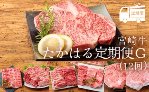 国産ブランド牛の定期便『宮崎牛たかはる定期便G』(12回) [黒毛和牛を12ヶ月毎月配送 国産牛 牛肉 お肉] TF0400-P00020