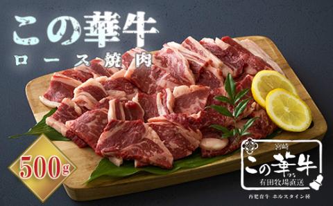 高原有田牧場直送 この華牛 ロース焼肉(500g) TF0460-P00037