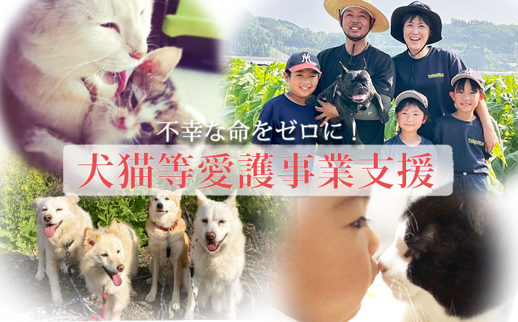 【返礼品なし】【犬猫等愛護活動 犬と猫と人にとって住みよい社会づくりを応援】宮崎県 高原町 特定非営利活動法人 咲桃虎(さくもんと)　 TF3035-P00056