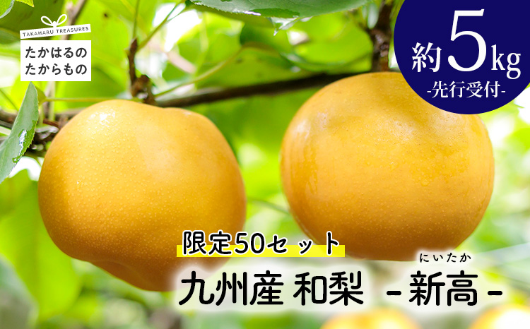 【先行受付】九州産 和梨「新高(にいたか)」 5kg [季節限定 期間限定 果物 フルーツ 国産 日本産] TF0313-P00025
