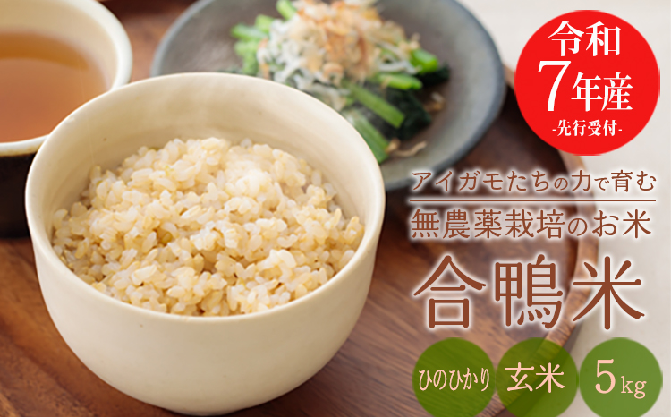 【令和7年産】無農薬栽培 合鴨米ひのひかり(玄米)5kg TF0424-P00029