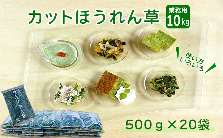 《大容量10kg》九州産 ほうれん草 業務用 冷凍法蓮草 [冷凍野菜 法連草] TF0590-P00019
