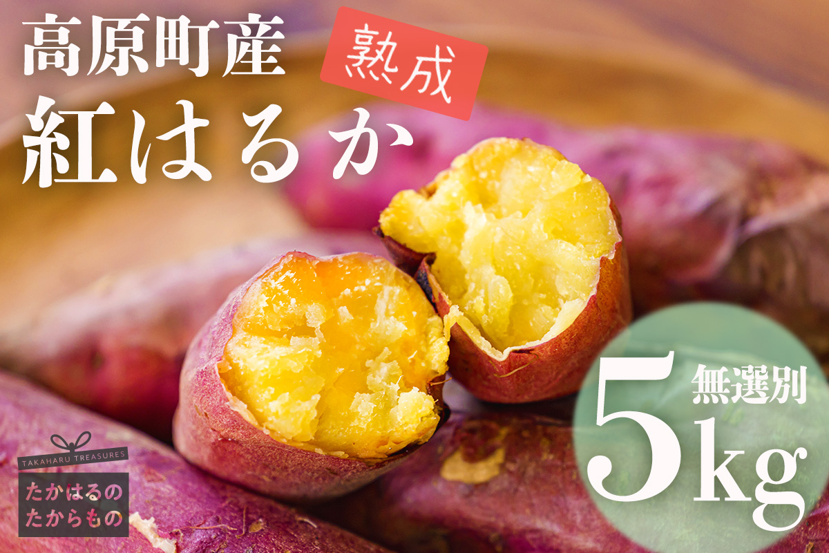 【令和７年産】高原町産 熟成紅はるか5kg（無選別） [さつまいも 焼き芋 べにはるか 大学芋 かりんとう 天ぷら 豚汁 長期熟成 糖度 無選別 産地直送 産直 5キロ 南九州産 宮崎県高原町産] TF0719-P00061