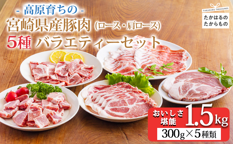 高原育ちの宮崎県産豚肉5種バラエティーセット1.5kg おいしさ満喫 [ロース 肩ロース 夕食 お弁当 一人暮らし 万能食材 ステーキ とんかつ ポークソテー 生姜焼き しゃぶしゃぶ  焼肉 肉巻き 300g 小分け 使い切り]TF0779-P00070