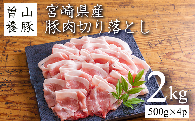曽山養豚の宮崎県産豚肉切り落とし2kg(500g×4p)[スライス 小分け 大容量 宮崎県産モモ スライス しゃぶしゃぶ 生姜焼き 肉じゃが カレー 蒸し物 揚げ物 宮崎県産 豚肉]TF0826-P00078