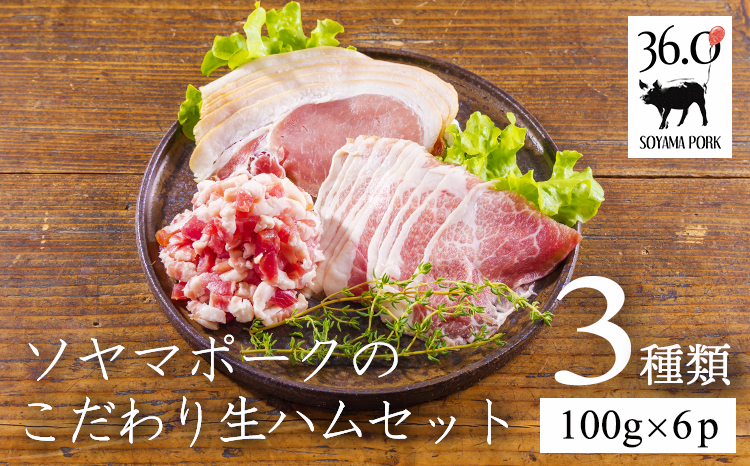 ソヤマポークのこだわり生ハム3種セット[ロース バラ モモ パンチェッタ ベーコン おつまみ パーティー 宮崎県産 豚肉]TF0827-P00078