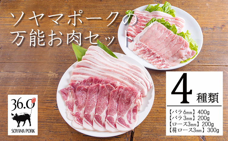 ソヤマポークの万能お肉セット[ロース バラ 肩ロース 焼肉 炒め物 生姜焼き用 バーベキュー 小分け 宮崎県産 豚肉]TF0831-P00078