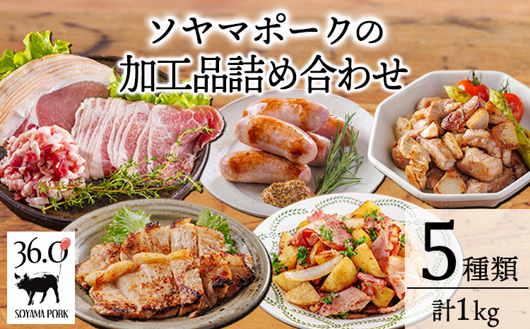 ソヤマポークの加工品詰め合わせ[ハム ステーキ ソーセージ 味噌漬け] TF862ｰP00078