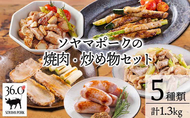 ソヤマポークの焼肉・炒め物セット[ロース バラ ステーキ ソーセージ ホルモン] TF863ｰP00078