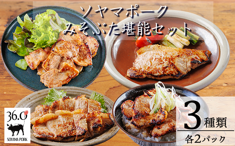 ソヤマポークのみそぶた堪能セットT[特製味噌漬け ロース モモ おかず お弁当] F866ｰP00078
