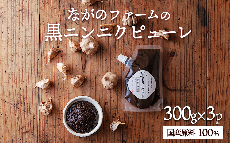 毎日の食卓に、簡単・便利・おいしい！ 国産黒ニンニクピューレ 300g×3p　TF0892-P00032