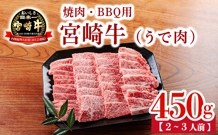 宮崎牛うで肉450g（焼肉・BBQ用）TF0904ｰP00020