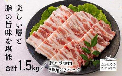 宮崎県産豚バラ焼肉 1.5kg TF0547-P00043