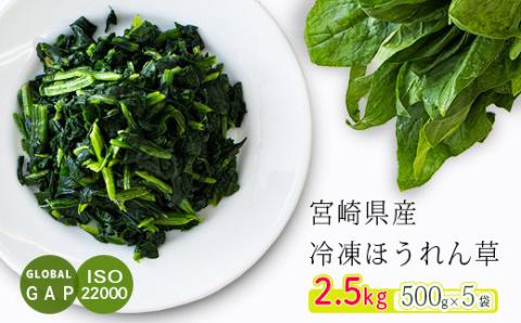 国産『冷凍ほうれん草』2.5kg(500g×5袋) グローバルGAP取得のホウレン草 時短調理につながる冷凍カット野菜 [法連草 法蓮草 『返礼品特集20000円以下』-宮崎県高原町] TF0477-P00019