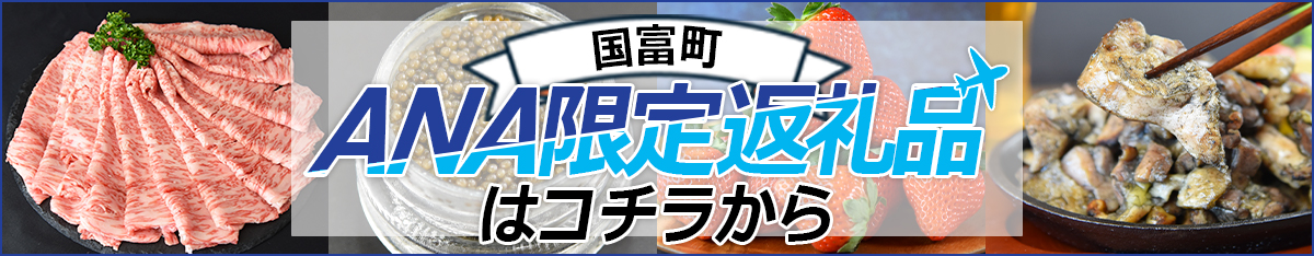 ANA限定返礼品