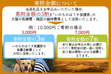 ＜保健所犬猫レスキュー【返礼品なしのご寄附】＞寄付金額5,000円※お礼状をお送りいたします。【 動物愛護 保護 犬 猫 いぬ ねこ イヌ ネコ 動物 どうぶつ ペット 応援 支援 寄付 使い道 】 5,000円