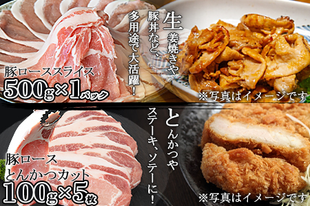 ＜宮崎県産 豚肉 《お楽しみ》バラエティーセット 合計2.0kg＞翌月末迄に順次出荷【 豚 肉 豚肉 】