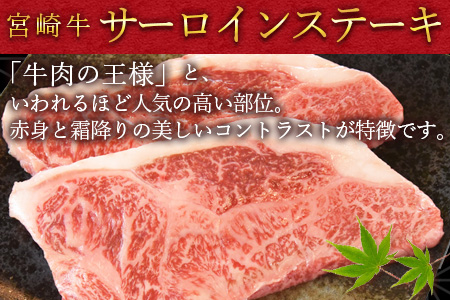 ＜宮崎牛 サーロインステーキ 250g×2枚＞翌月末迄に順次出荷【 国産 牛 牛肉 黒毛和牛 ステーキ 贅沢 高級　お祝い 誕生日 特別 和牛 】