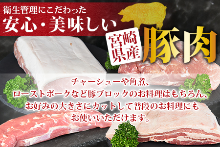 ＜宮崎県産 豚肉 ブロック 4種セット（ヒレ・ロース・モモ・バラ）合計3.5kg＞翌月末迄に順次出荷【 豚 肉 豚肉 豚 ブロック 肉 ブロック 】