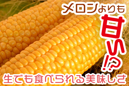 予約受付！＜朝採れ！国富町産ゴールドラッシュ4.5kg2Lサイズ13本＞2026年5月下旬～7月上旬迄に順次出荷【 とうもろこし スイートコーン 先行予約 野菜 穀物 甘い トウモロコシ 数量限定 】