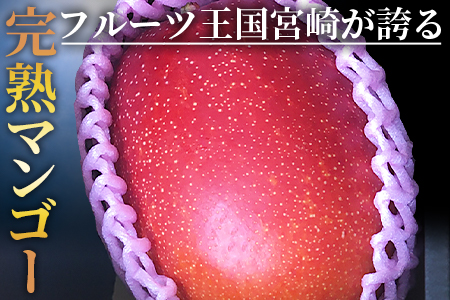 <宮崎県産完熟マンゴー 3L×1玉>2026年3月下旬～6月下旬迄に順次出荷【 期間限定 フルーツ 果物  】[A0593]