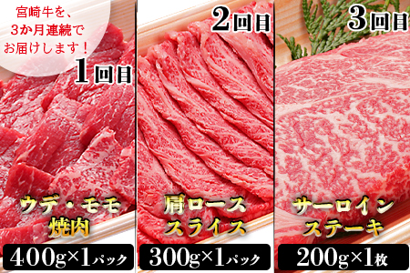 ★3か月定期便★＜宮崎牛お試しセット＞翌月末迄に第１回目発送【 定期便 肉 牛 牛肉 和牛 黒毛和牛 】