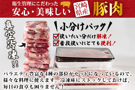 ★大容量 豚肉★＜宮崎県産 豚肉 バラエティーセット4.4kg＞翌月末迄に順次出荷【 肉 豚 豚肉 しゃぶしゃぶ 豚肉 すき焼き 豚肉 すきしゃぶ 豚肉 ロース 豚肉 ミンチ 豚肉 切り落とし 豚肉 小分け 豚肉 豚ロース 豚肉 豚モモスライス 豚肉 -】