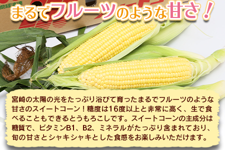 ★2026年発送★期間限定＜宮崎県産 スイートコーン 約4.5kg＞2026年5月下旬～6月中旬迄に順次出荷【 先行予約 穀物 野菜 甘い 季節限定 とうもろこし おやつ ご飯 スープ サラダ BBQ 】