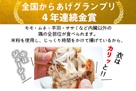 ＜半身からあげ5本セット(塩味×3本 スパイス味×2本)＞【 唐揚げ 鶏 とり 鶏肉 揚げ物 パーティー お祝い】準備でき次第翌々月までに順次発送