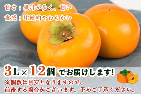 数量限定！予約受付！＜国富町産 富有柿 3L×12個＞2025年11月中旬から12月中旬頃に順次出荷