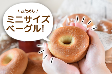 ＜おためしミニベーグル 3種セット 計8個＞翌月末迄に順次出荷【 パン ぱん 朝食 モーニング 昼食 ランチ おやつ 小腹 詰め合わせ サンドイッチ アレンジ 食事パン 】