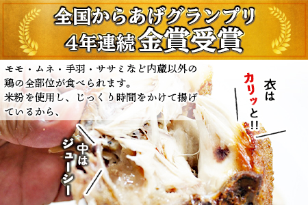 ＜半身からあげ（塩味）3本セット＞【 唐揚げ 鶏 とり 鶏肉 揚げ物 パーティー お祝い】準備でき次第翌々月までに順次発送